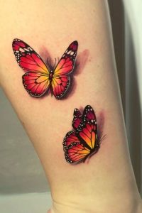 Realistic Butterfly 