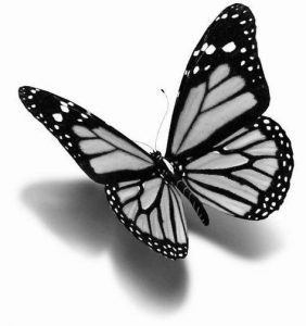 Black Butterfly Tattoo Meaning, Designs, And Ideas