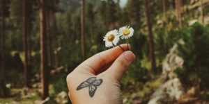 Beauty Of 3D Butterfly Tattoo