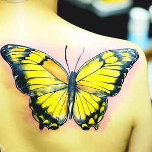 watercolor yellow butterfly populars