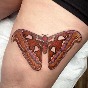 Atlas-moth-tattoo-ideas