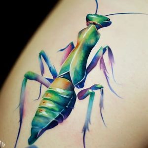 Praying-Mantis-Tattoo-Popular-watercolor-