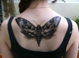 Realistic Death Moth Tattoo