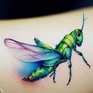 Watercolor-Grasshopper-Tattoo-for boys