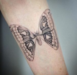 atlas moth tattoo design