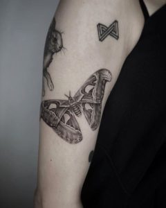 atlas moth tattoo design on body Different types