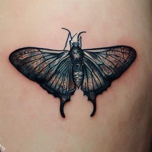 popular Impracticable Dead Moth Tattoo