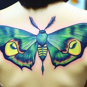 green-and-yellow-luna-moth-on-back