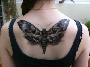 luna-moth-tattoo-design-on-back