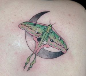 luna-moth-with-moon