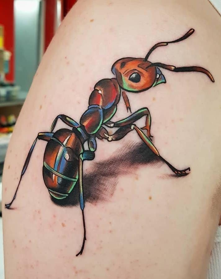 Ant-tattoos-meaning