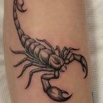 scorpion-tattoo