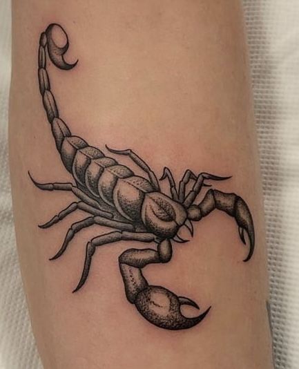 scorpion-tattoo